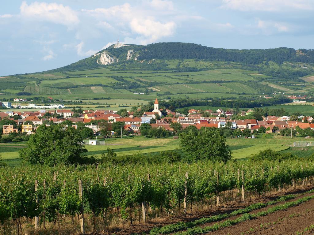 Penzion Kratochvil Dolni Dunajovice Ngoại thất bức ảnh